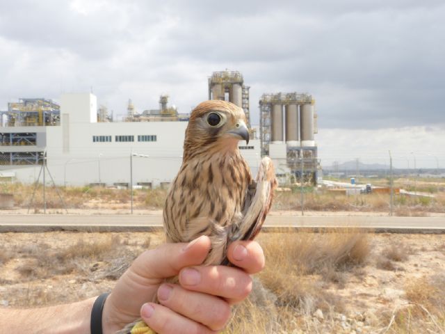 SABIC contribuye a la recuperación del hábitat original de la Finca Casa Grande - 1, Foto 1