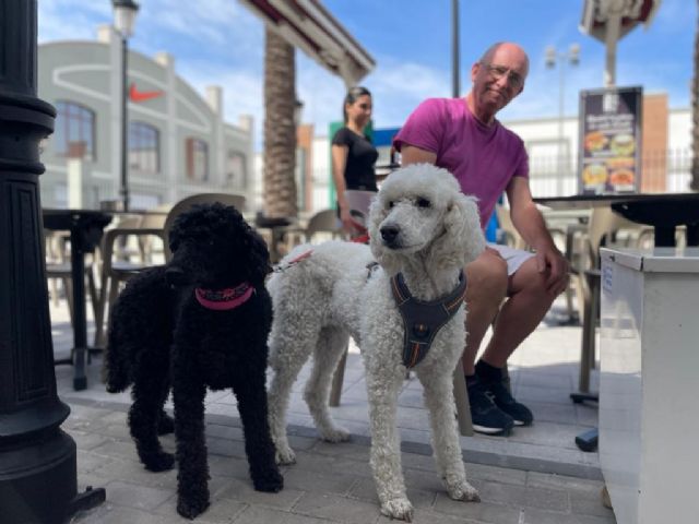 La Noria Outlet se estrena como centro comercial Pet Friendly - 3, Foto 3