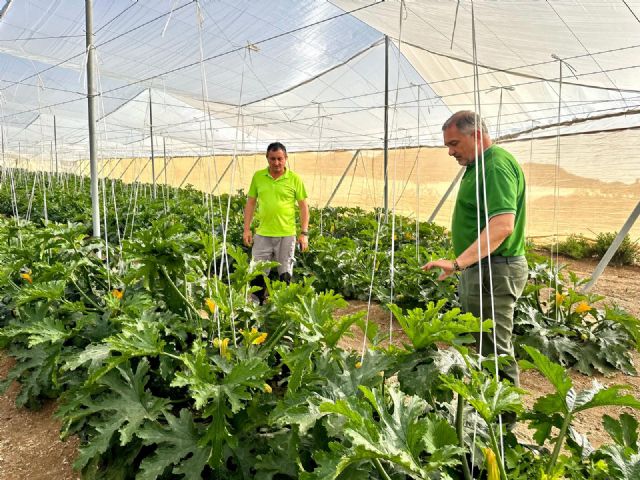 El gobierno de Lorca reclama a Europa que proteja a los agricultores españoles y aplique las cláusulas espejo a terceros países - 1, Foto 1