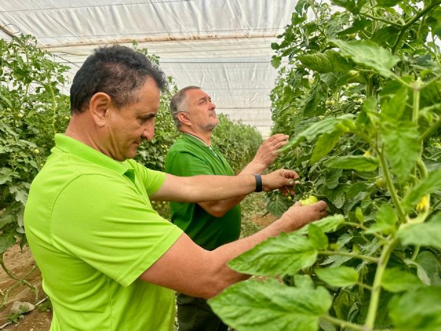 El gobierno de Lorca reclama a Europa que proteja a los agricultores españoles y aplique las cláusulas espejo a terceros países - 2, Foto 2