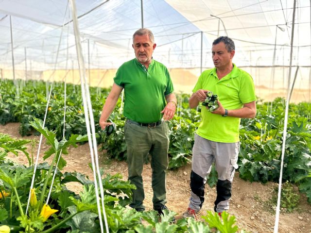 El gobierno de Lorca reclama a Europa que proteja a los agricultores españoles y aplique las cláusulas espejo a terceros países - 3, Foto 3