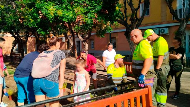 Más de 500 alumnos de 7 colegios visten de verde el municipio por el Día Mundial del Medio Ambiente - 4, Foto 4