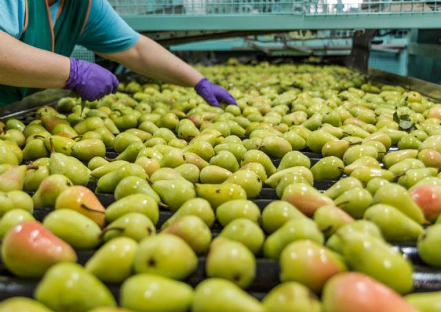 Fecoam impulsa la responsabilidad social a través de una guía para empresas agroalimentarias - 1, Foto 1