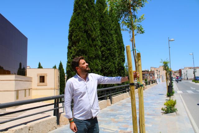 El Ayuntamiento implanta zonas de sombra en la 'isla de calor' en la bajada del Puente Viejo hacia la ciudad - 1, Foto 1