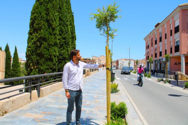 El Ayuntamiento implanta zonas de sombra en la 'isla de calor' en la bajada del Puente Viejo hacia la ciudad - 2, Foto 2