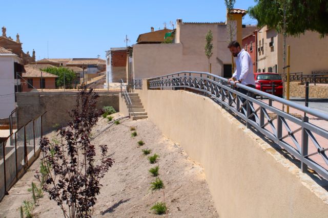 El Ayuntamiento implanta zonas de sombra en la 'isla de calor' en la bajada del Puente Viejo hacia la ciudad - 4, Foto 4