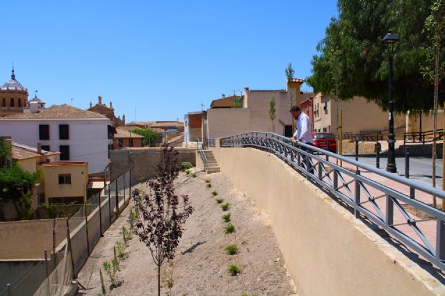 El Ayuntamiento implanta zonas de sombra en la 'isla de calor' en la bajada del Puente Viejo hacia la ciudad - 5, Foto 5