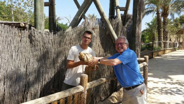 El Ayuntamiento de Murcia entrega una tortuga perdida y de gran tamaño al Parque de animales Terra Natura - 1, Foto 1