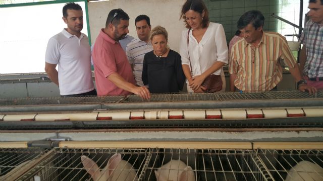 Agricultura destaca la importancia de fomentar el consumo de la carne de conejo de la Región como un producto de gran calidad, Foto 1