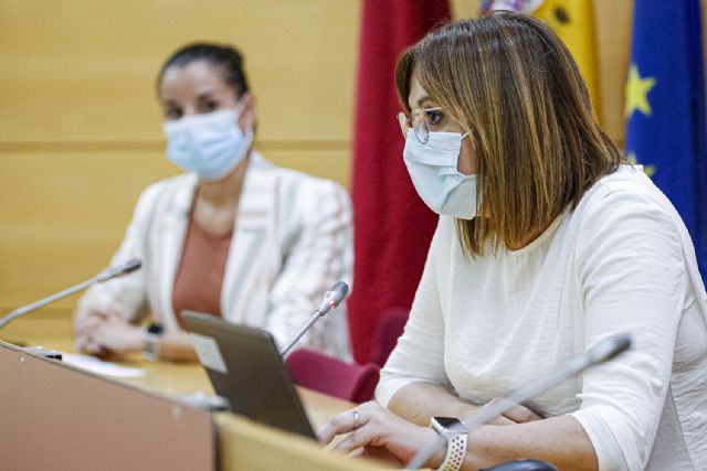 La Comunidad trabaja en la puesta en marcha de un programa de acompañamiento emocional a madres y padres por el duelo perinatal - 1, Foto 1