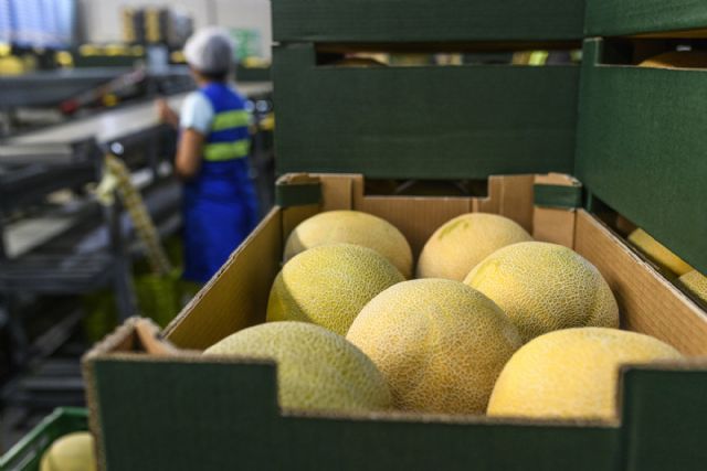 En busca del mejor sabor en melón y sandía - 2, Foto 2