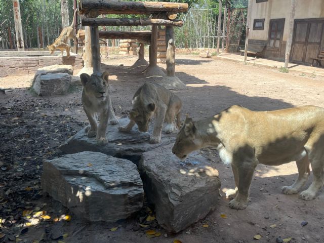 Makulu, Silbán e Irati cumplen un año - 3, Foto 3