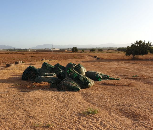 MC quiere impulsar la construcción de nuevos ecoparques en las zonas este y norte del municipio - 2, Foto 2