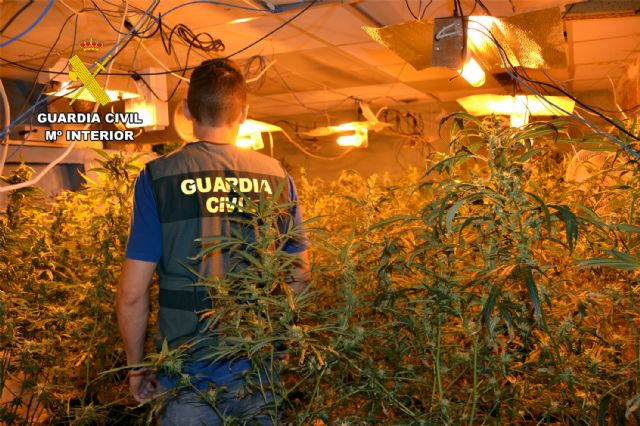 La Guardia Civil desmantela un grupo delictivo que cultivaba marihuana en Cieza - 1, Foto 1