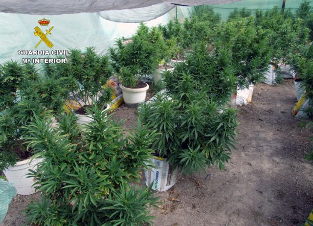 La Guardia Civil desmantela dos plantaciones de marihuana en Zarcilla de Ramos-Lorca - 1, Foto 1