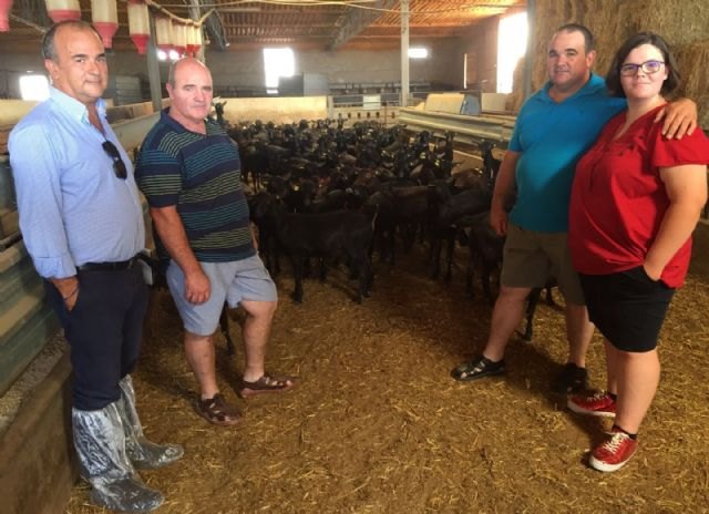 Agricultura presta apoyo y asesoramiento a los emprendedores que desarrollen iniciativas que fomenten las razas autóctonas - 1, Foto 1