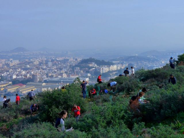 El Ayuntamiento pone en marcha medidas para la reforestacion del municipio - 1, Foto 1