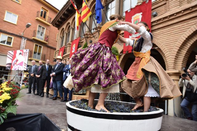 Tradición y vanguardia: la esencia que encierran los vinos de las piedras de la DOP Cariñena - 2, Foto 2