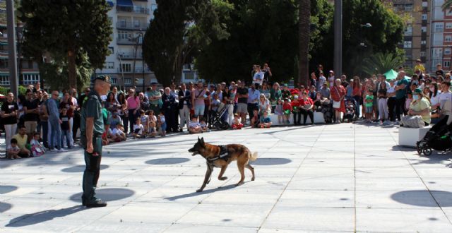 La Guardia Civil expone sus recursos humanos y técnicos con motivo de la celebración de la festividad de su Patrona - 4, Foto 4