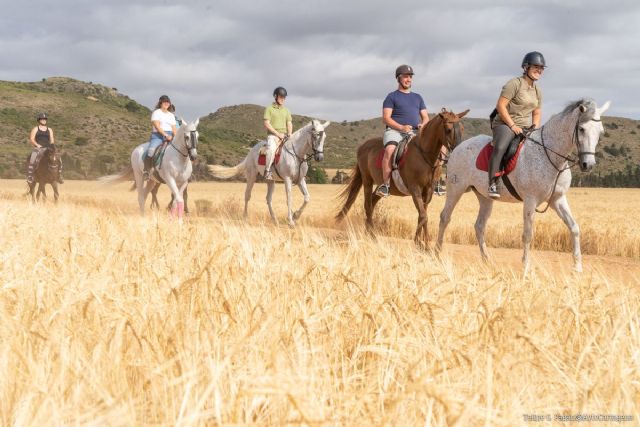 Cien actividades de ocio y cursos gratuitos para jóvenes este otoño en Cartagena con el T-LA - 1, Foto 1