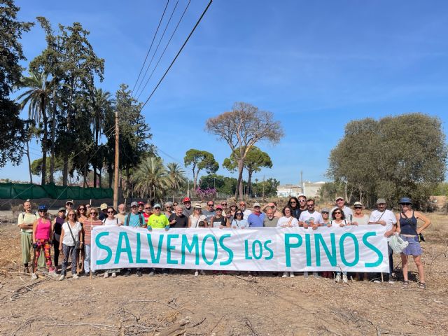 Vecinos y asociaciones se concentran para salvar los pinos de Churra - 1, Foto 1