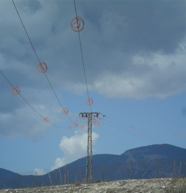 La Comunidad avanza en la protección de la avifauna e inicia el proceso para que las líneas eléctricas reciban ayudas para su corrección - 2, Foto 2