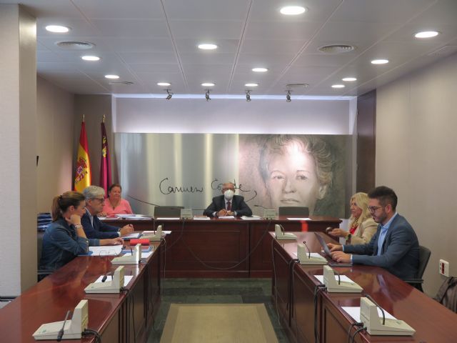 La Asamblea Regional congela las retribuciones de los diputados por tercer año consecutivo - 1, Foto 1