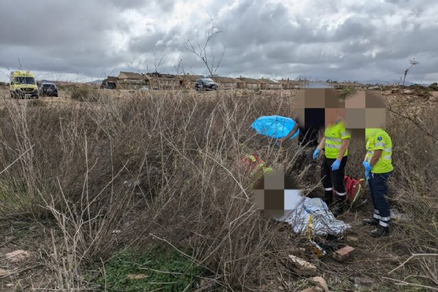 Policía Local detiene a dos hombres con marihuana y encuentra a una mujer desaparecida en Cartagena - 1, Foto 1