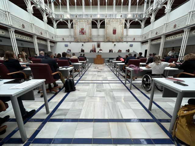 El Pleno de la Asamblea Regional aprueba una Declaración Institucional de apoyo a los afectados por la DANA - 1, Foto 1