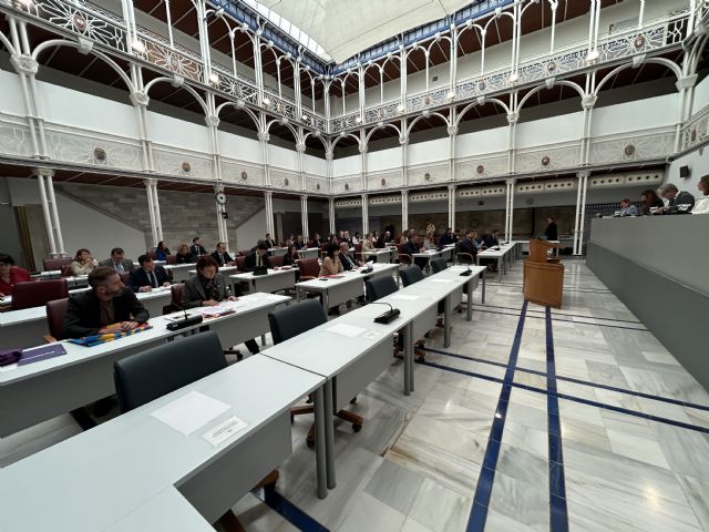 El Pleno de la Asamblea Regional aprueba una Declaración Institucional de apoyo a los afectados por la DANA - 2, Foto 2