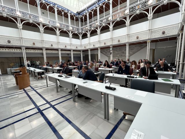 El Pleno de la Asamblea Regional aprueba una Declaración Institucional de apoyo a los afectados por la DANA - 3, Foto 3