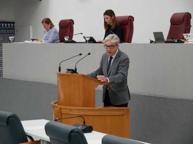 La Asamblea aprueba, con el PSOE en contra, la moción del PP para exigir al Gobierno que abone los 422 millones que debe a la Región por las ayudas a la dependencia - 1, Foto 1