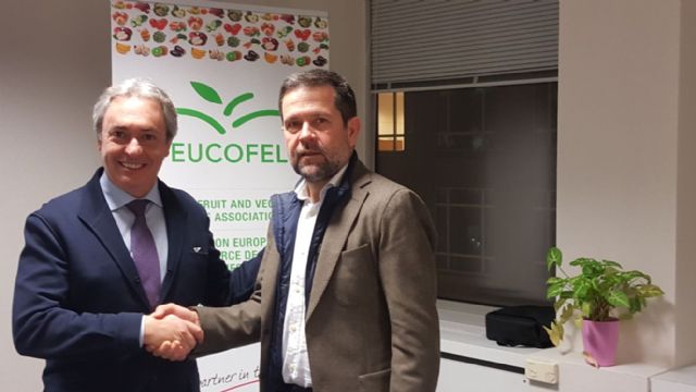 Juan Marín, elegido presidente de la Asociación Europea del Comercio de Frutas y Hortalizas de la UE - 2, Foto 2