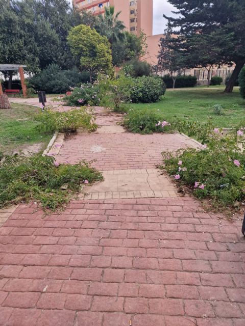 Pedro Contreras: La situación de los parques y jardines de todo el municipio es de total dejadez y abandono - 1, Foto 1