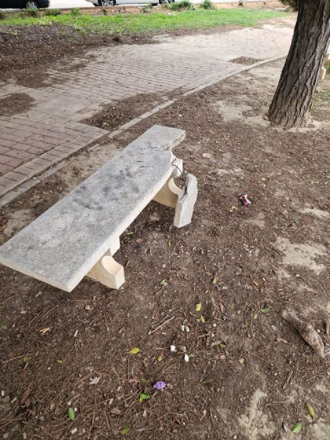 Pedro Contreras: La situación de los parques y jardines de todo el municipio es de total dejadez y abandono - 4, Foto 4