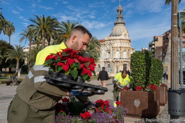 La Navidad florece en Cartagena con más de 19.000 plantas - 1, Foto 1