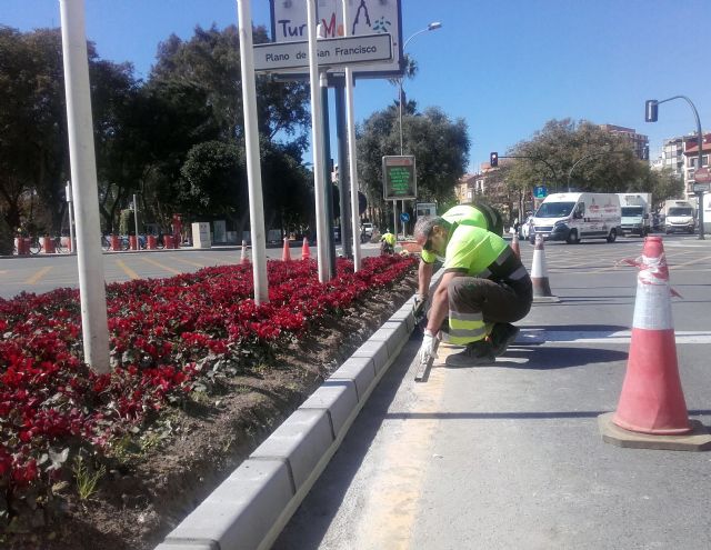 El Servicio de Parques y Jardines reforma las isletas situadas frente al Palacio Almudí - 1, Foto 1