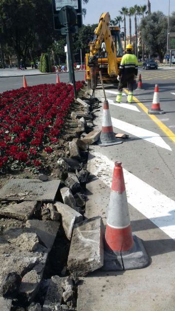 El Servicio de Parques y Jardines reforma las isletas situadas frente al Palacio Almudí - 2, Foto 2