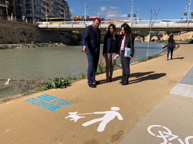 El carril bici de Murcia Río luce nueva señalización horizontal - 2, Foto 2