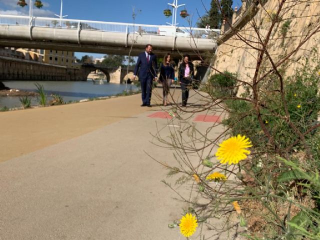 El carril bici de Murcia Río luce nueva señalización horizontal - 3, Foto 3