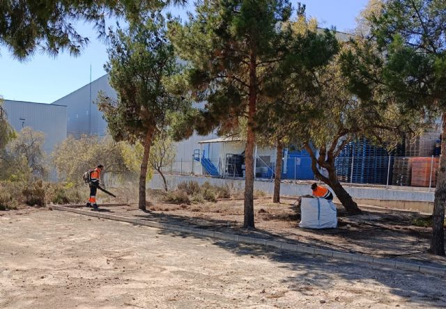 La Concejalía de Obras y Servicios realiza labores de limpieza intensiva en varias zonas del municipio - 4, Foto 4