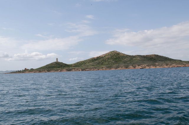 Coec confirma una notable mejoría del mar menor - 1, Foto 1