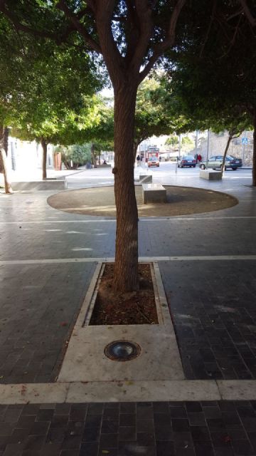 MC Cartagena instará al Gobierno local a dar solución a los problemas de iluminación en la Plaza Puertas de la Serreta - 2, Foto 2