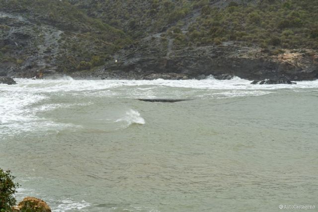 MC: N. Arroyo arrasa - ahora - con la pradera de posidonia de Cabo de Palos - 1, Foto 1