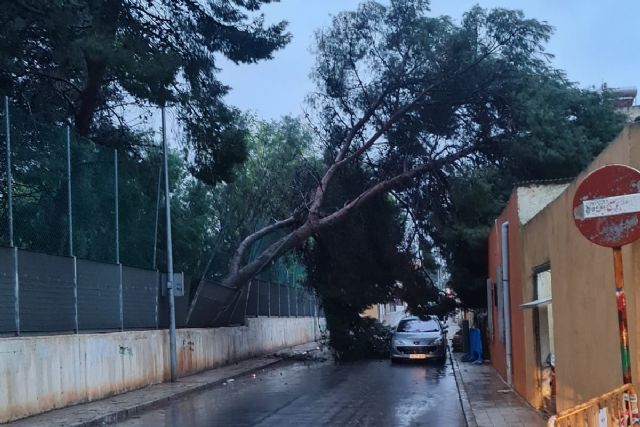 El derrumbe de una vivienda y la retirada de árboles caídos por las lluvias centran las labores de Bomberos - 1, Foto 1