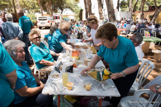 Las Asociaciones de Mayores de Cartagena celebran su jornada de convivencia en Los Urrutias - 1, Foto 1