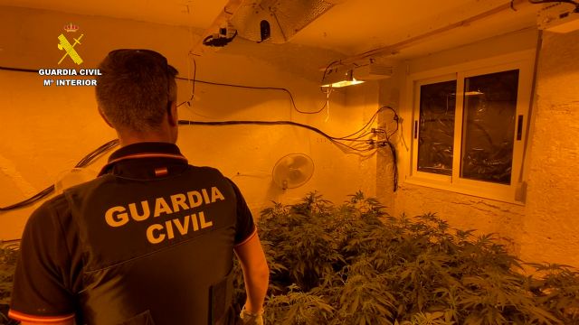 La Guardia Civil desmantela un grupo criminal dedicado al tráfico de marihuana - 2, Foto 2