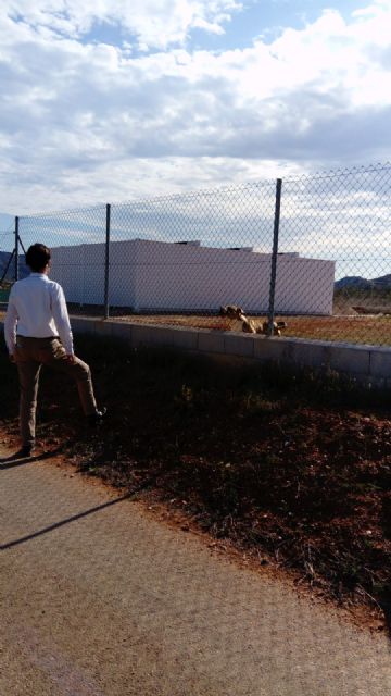 El Partido Cantonal denuncia que el Ayuntamiento bloquea el desarrollo urbano de la zona oeste - 4, Foto 4