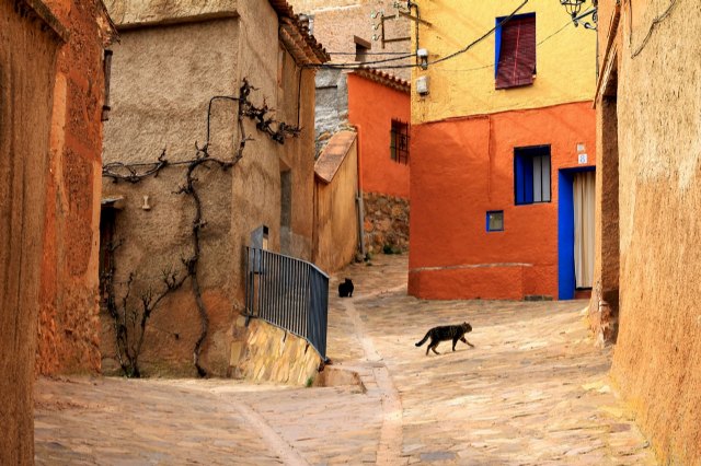 El 66,6% de la sociedad española está dispuesta a cuidar de las mascotas de sus vecin@s para evitar el abandono animal - 1, Foto 1