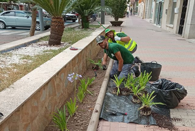 Los beneficiarios de la especialidad de jardinería del programa de garantía juvenil ponen guapo el paseo Fernández Jara - 2, Foto 2